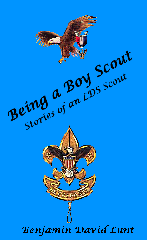 Being a Boy Scout